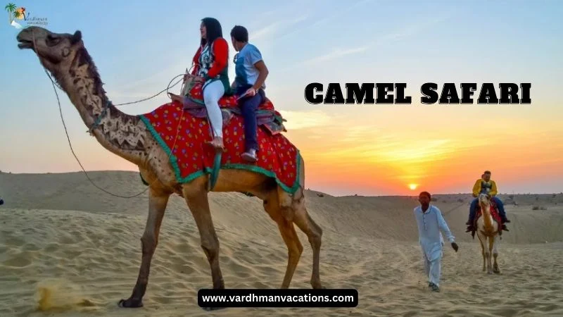 camel safari