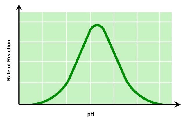 enzyme pH