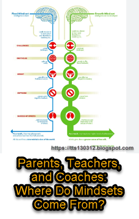 tts130312 Tóm tắt sách "Mindset: The New Psychology of Success" - Carol S. Dweck