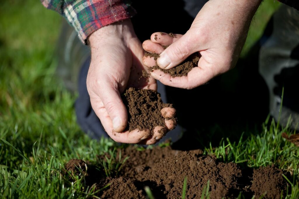 Proper Soil Drainage