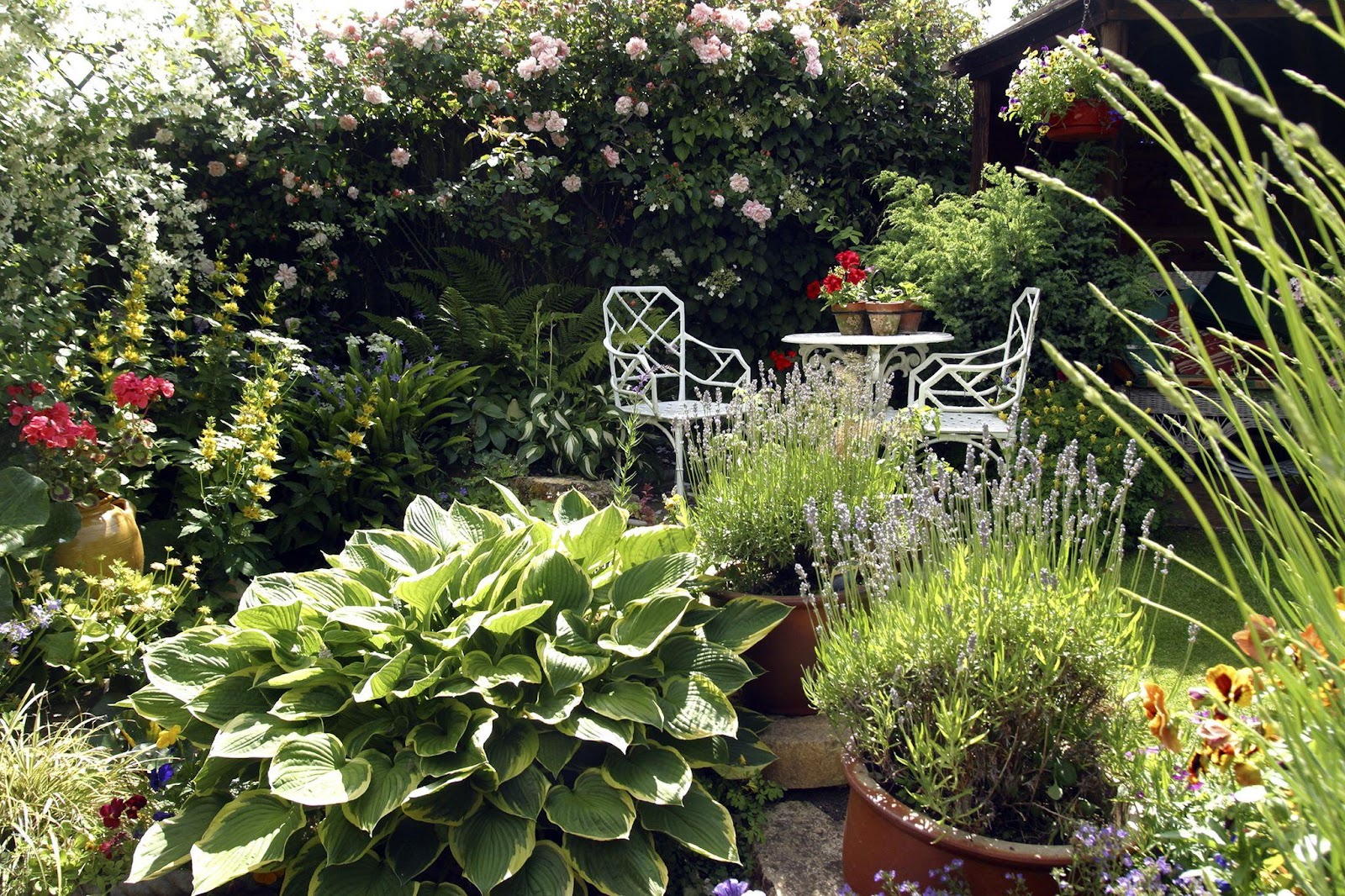 Green Home Garden Ideas