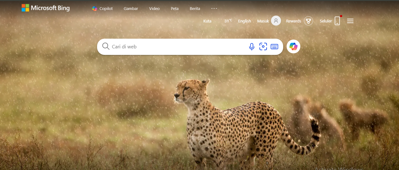 Screenshot of Bing Search Engine Landing Page