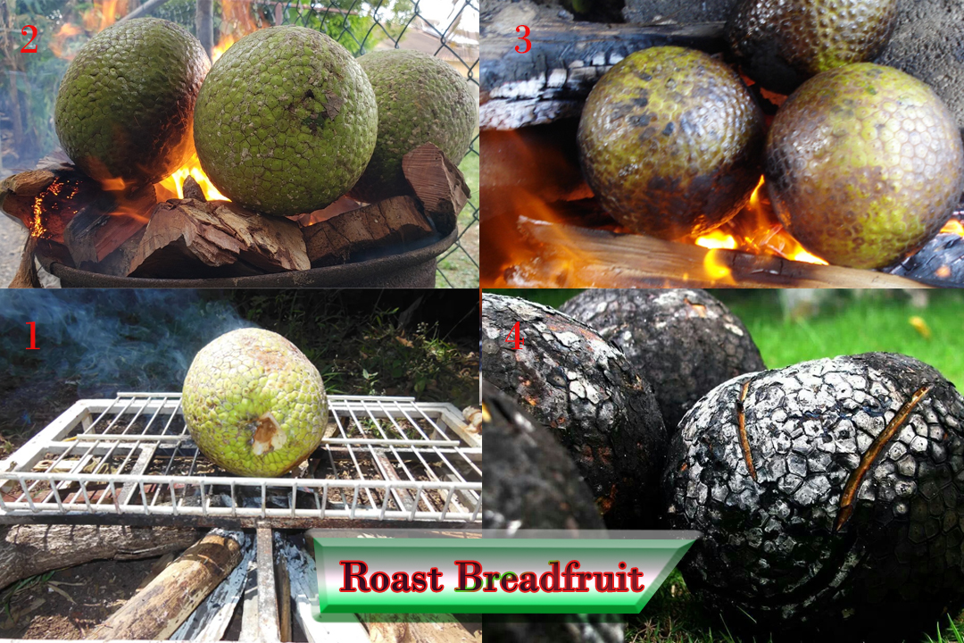 Culinary Versatility: Roast Breadfruit