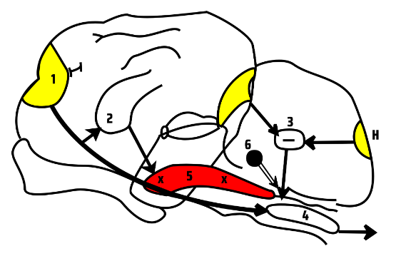 DiagramaDescrição gerada automaticamente