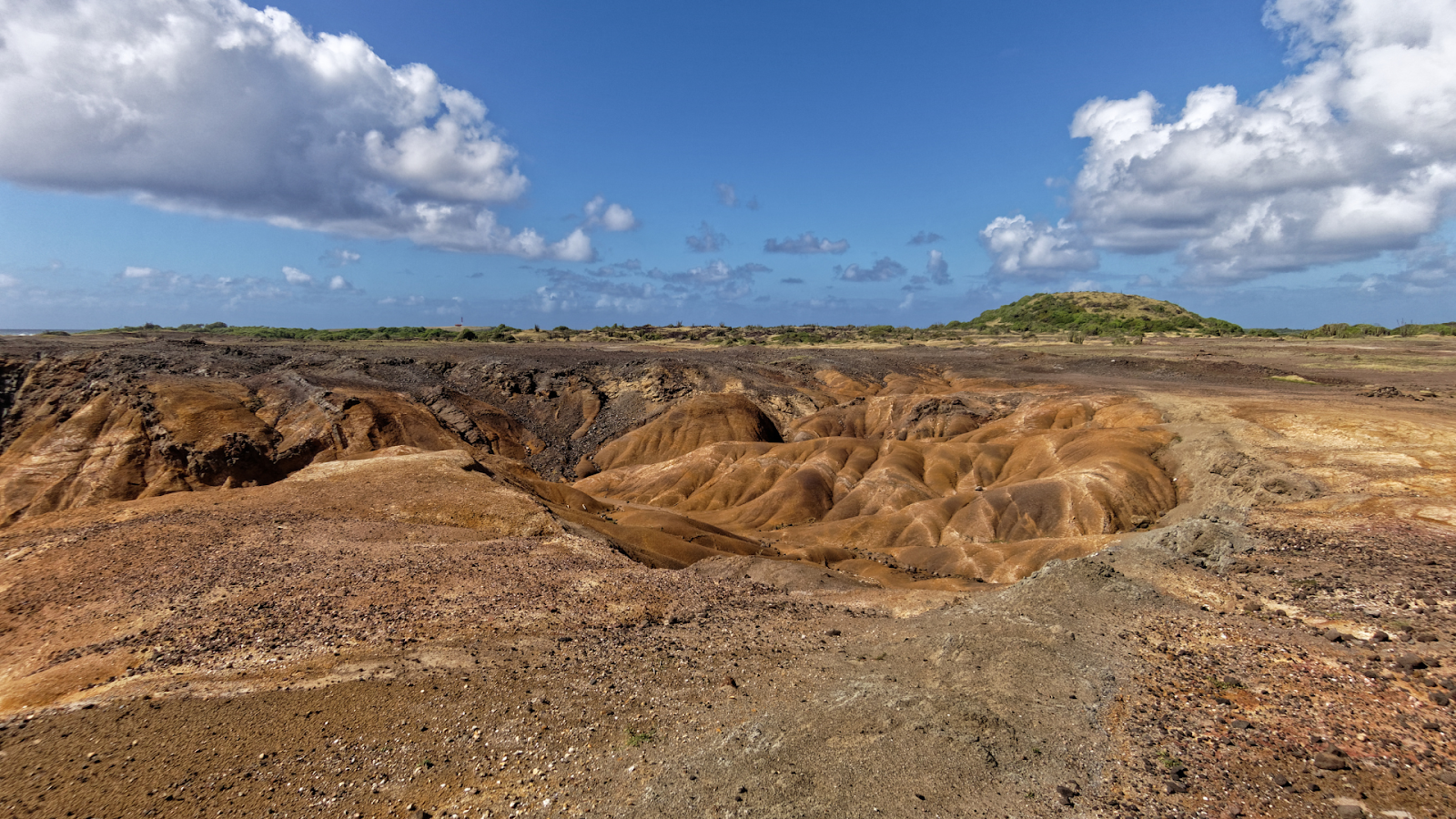 lieux et choses à faire en Martinique : la savane 