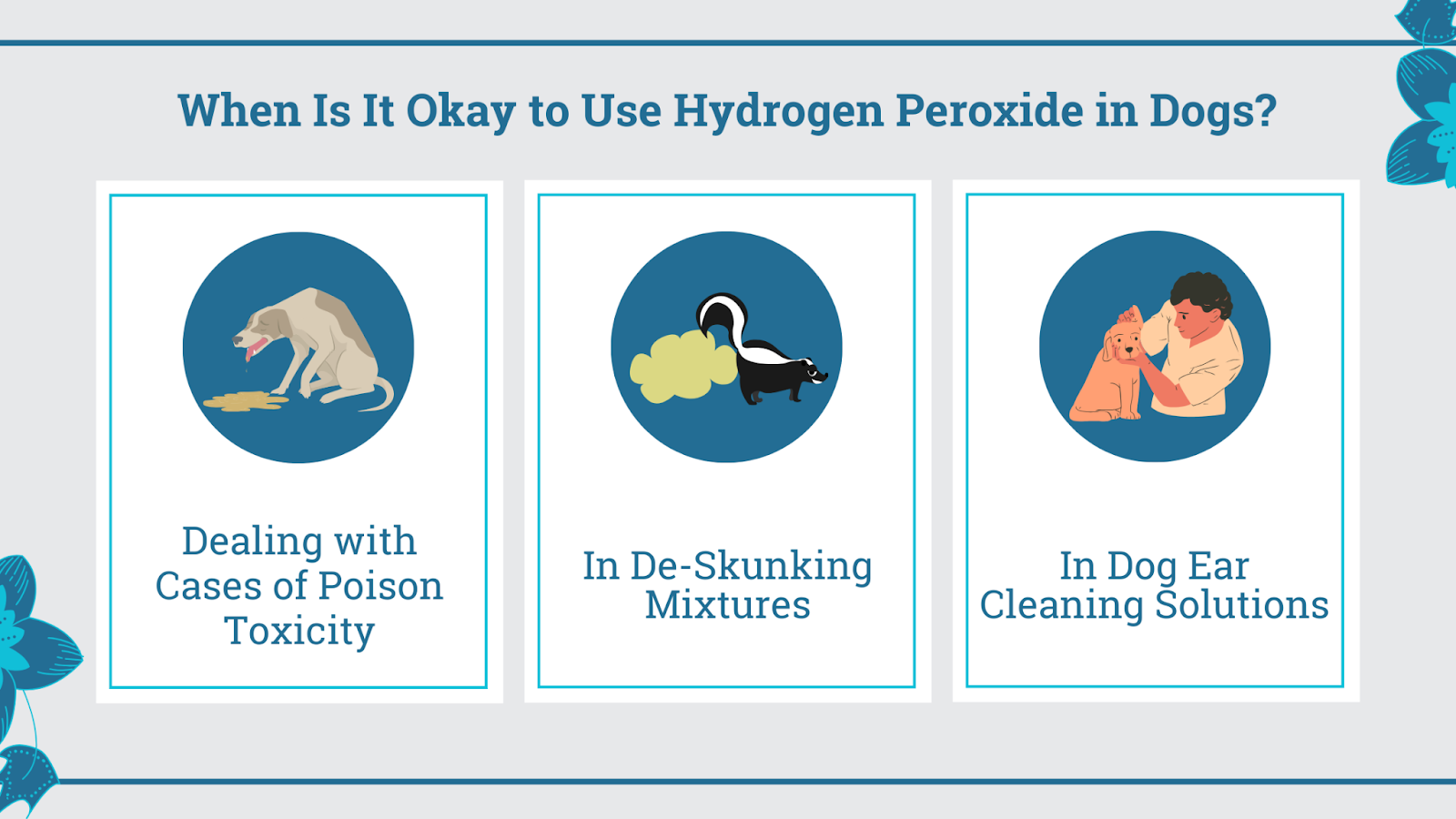 When is it okay to use hydrogen peroxide in dogs
