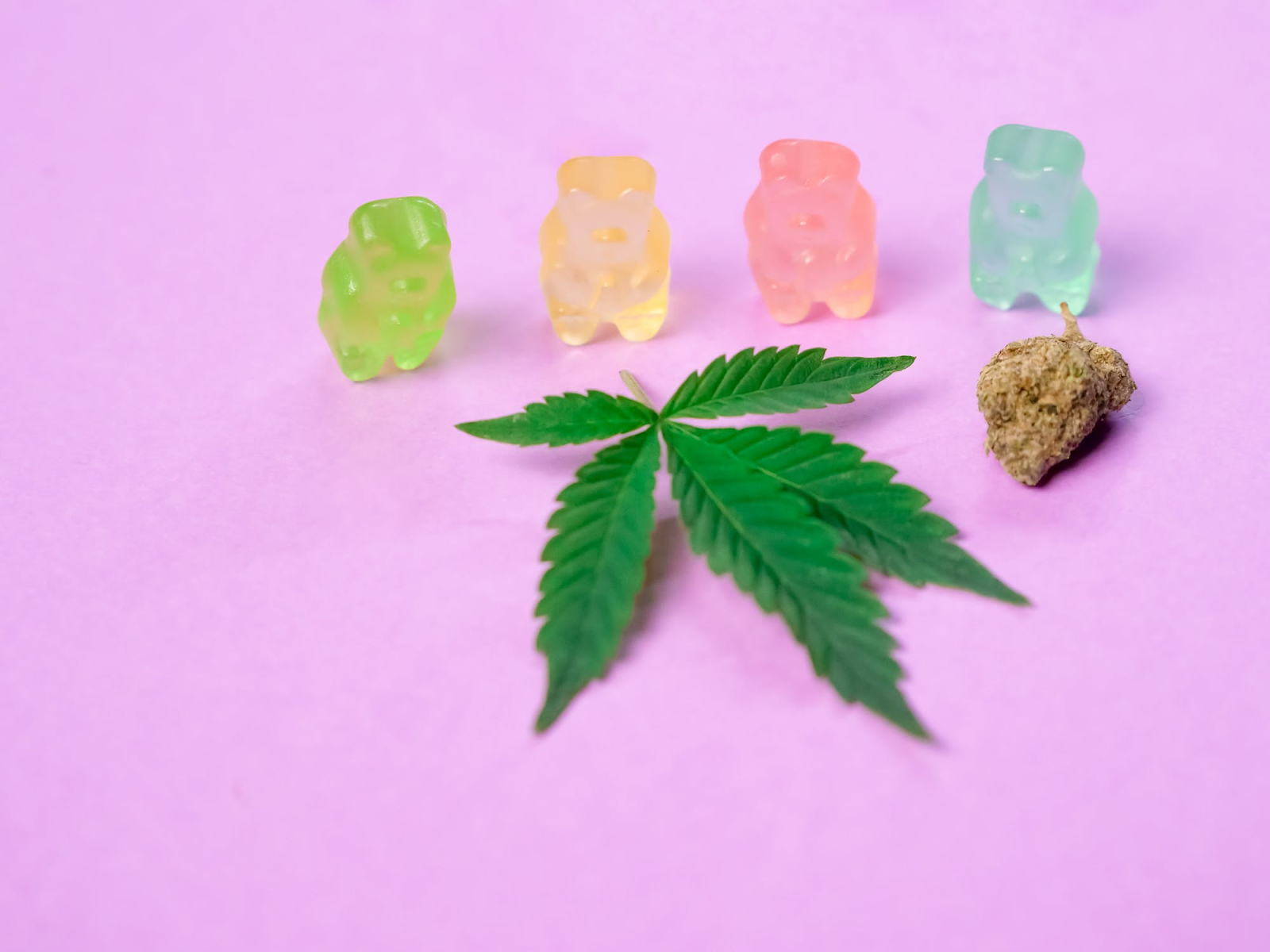Leaf, Gummy Bears, and Kush