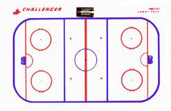 A hockey rink with red circles with Ice hockey rink in the background

Description automatically generated