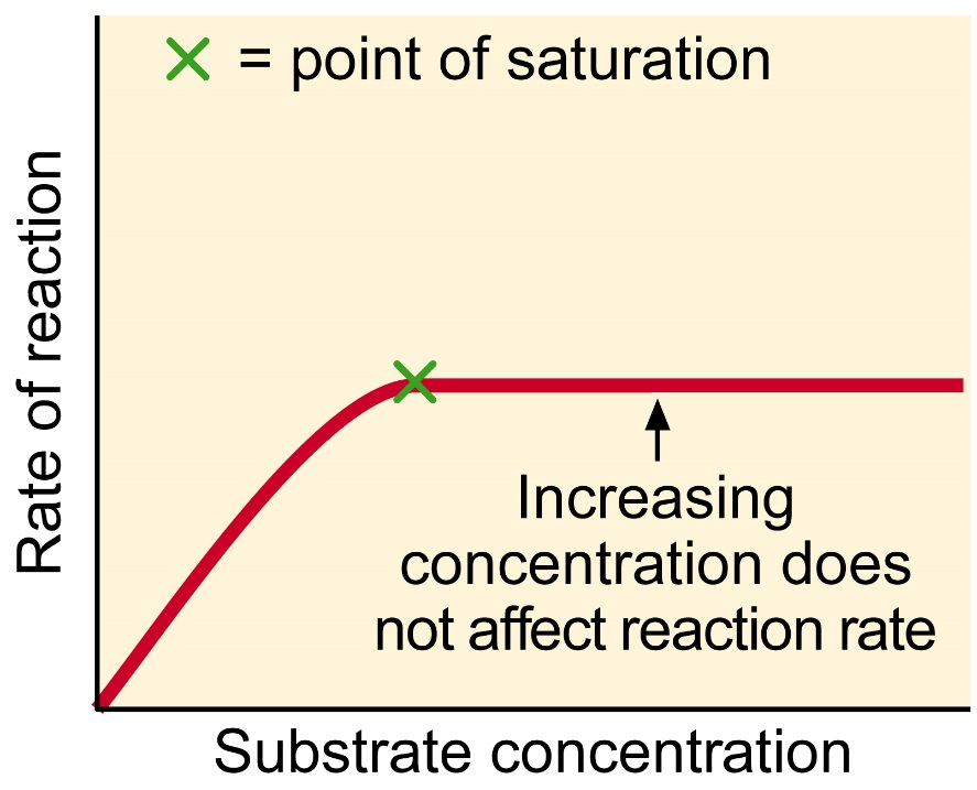 http://www.rsc.org/Education/Teachers/Resources/cfb/images/07D.jpg