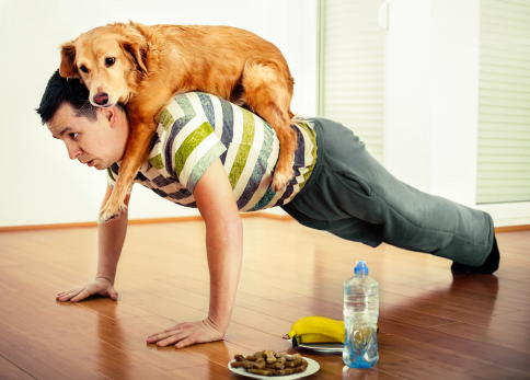 A man doing health exercise with dog on top.