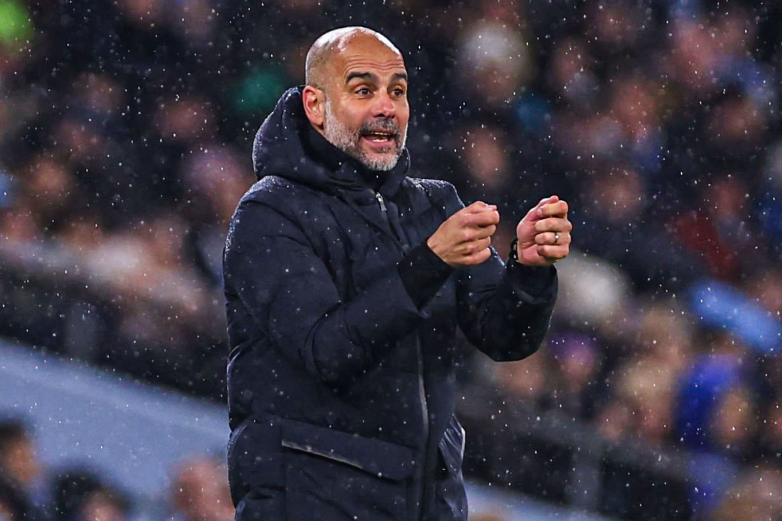 Pep Guardiola