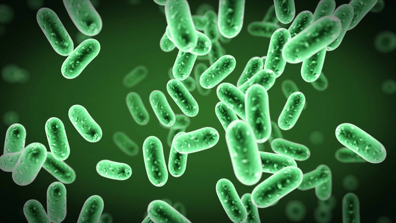 beneficial-bacteria-green-background.jpg