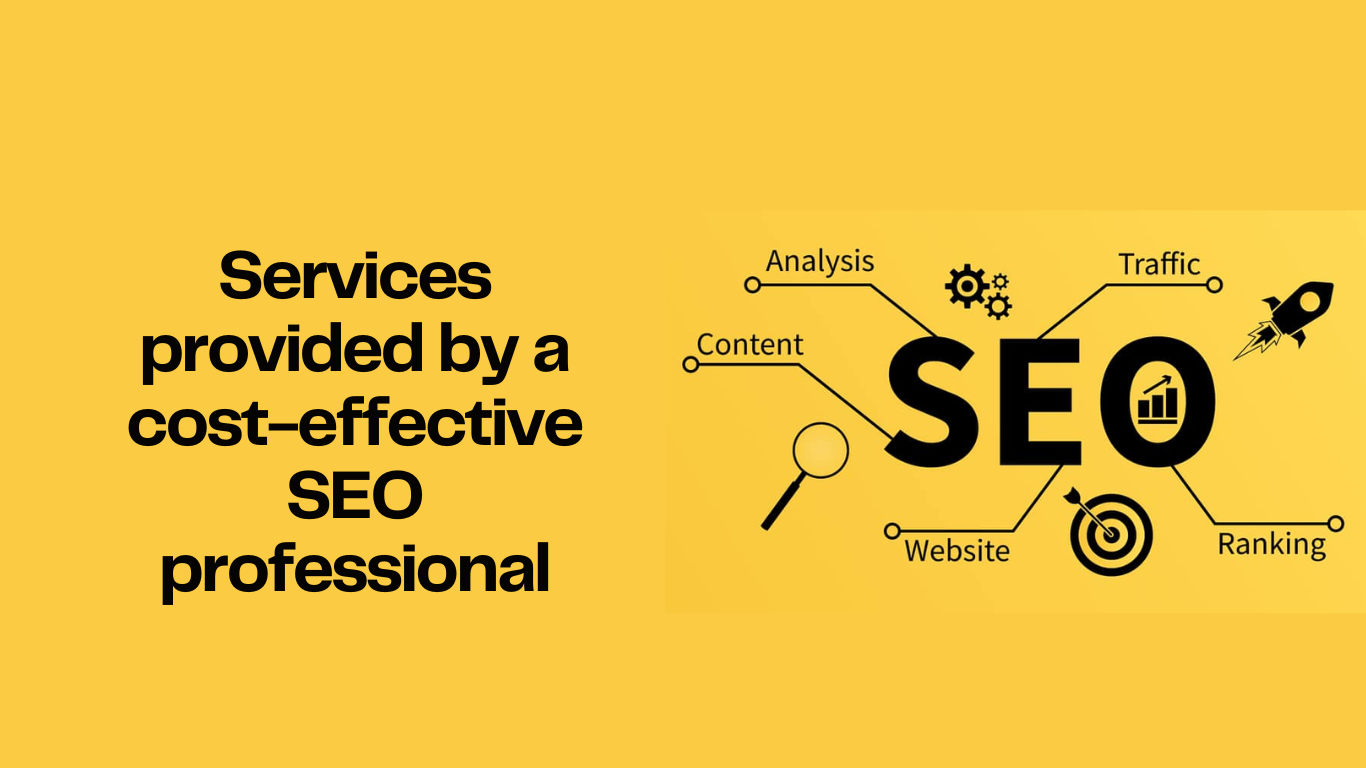 basic seo package by local seo specialist; 