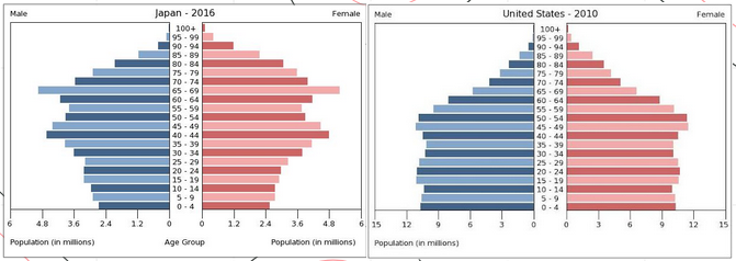 iGCSE Geography revision notes,Population Structure