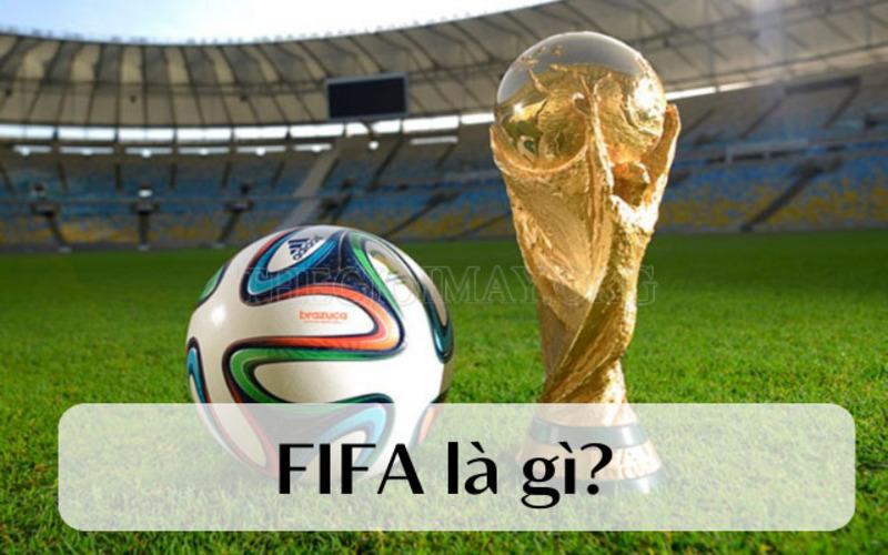 Fifa là gì và vai trò của họ trong sự phát triển bóng đá toàn cầu