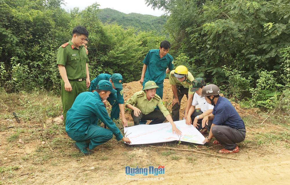 Tăng cường tuần tra, bảo vệ rừng - Báo Quảng Ngãi điện tử