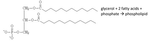 Gráfico, Gráfico de líneas

Descripción generada automáticamente