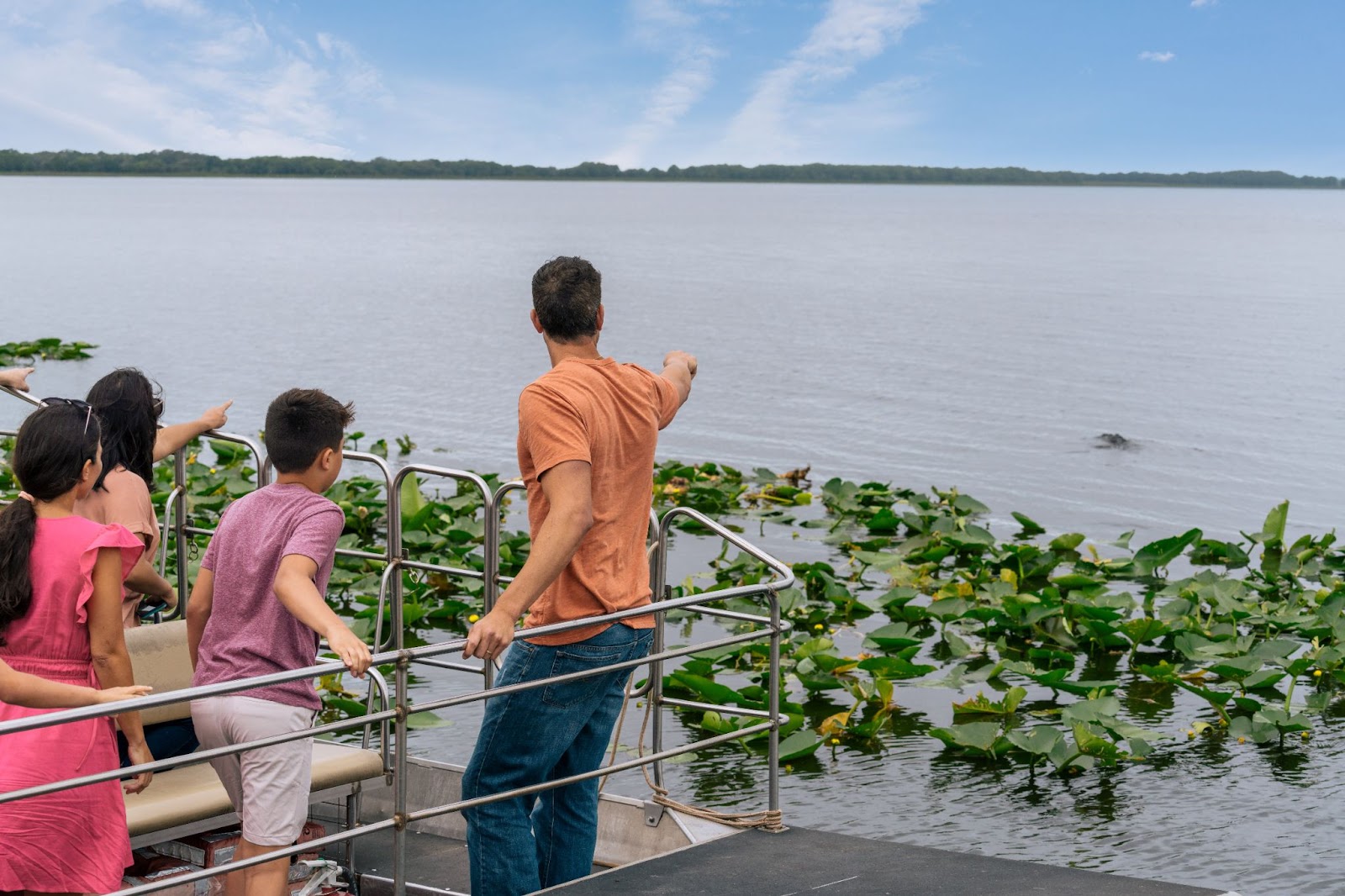 A family spots an alligator at the Wild Florida Everglades 