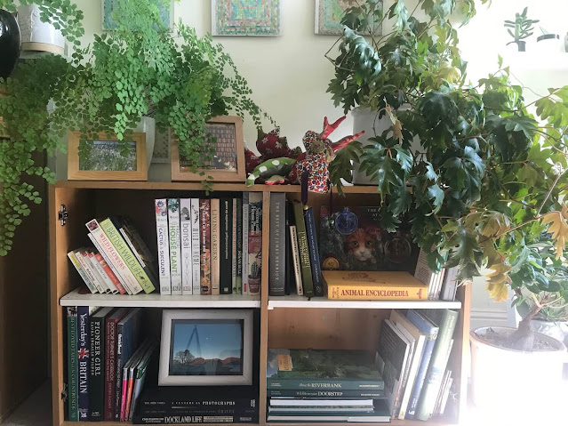 colourful books in shelves surrounded by plants gaelle chassery.jpeg