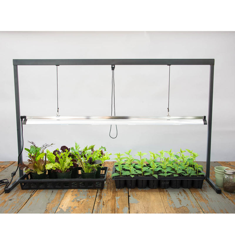 Use grow lights