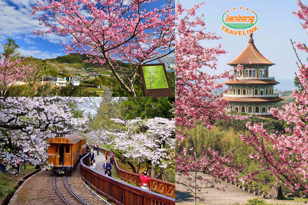 Những địa điểm đẹp ngắm hoa đào khi du lịch Đài Loan mùa xuân