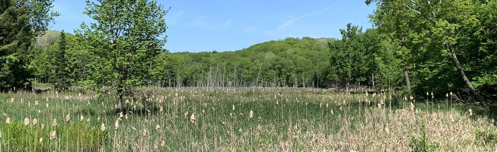 Hazlewood Trail, Port Carling