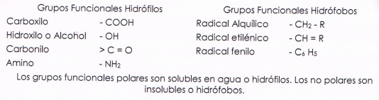 Texto, Carta

Descripción generada automáticamente