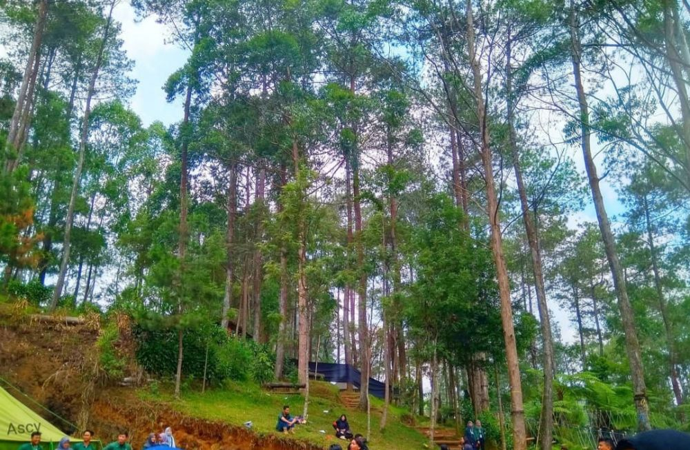 tempat piknik di bandung Ciwangun Indah Camp