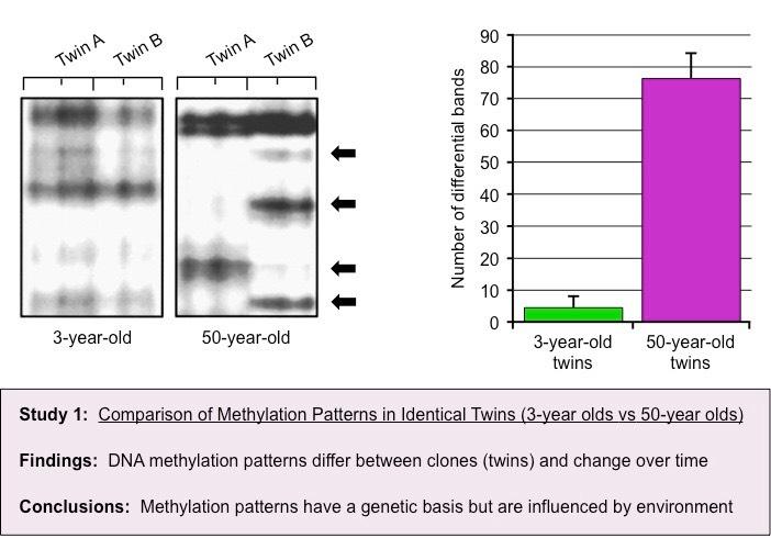 methylation expt 1