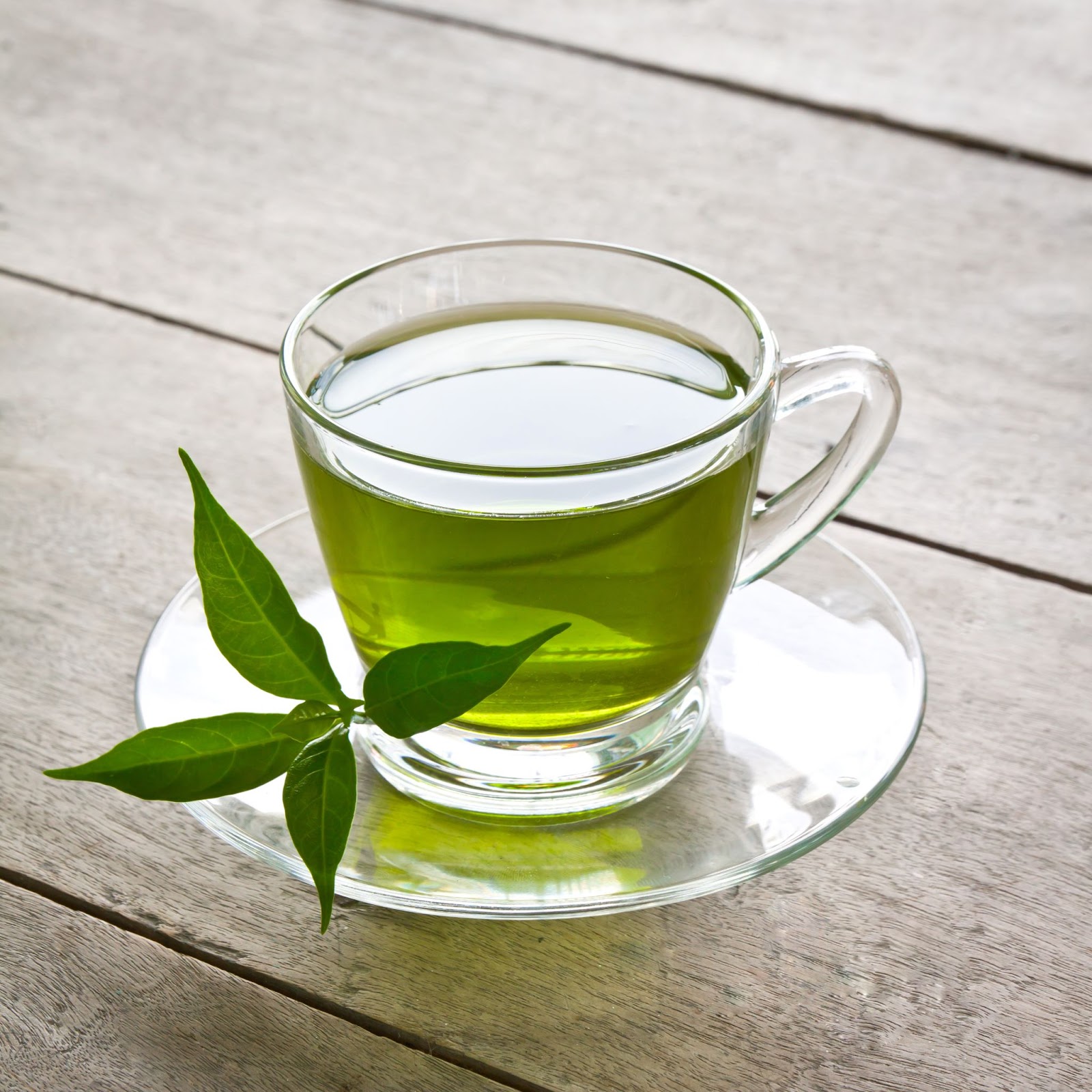 does green tea help in weight loss