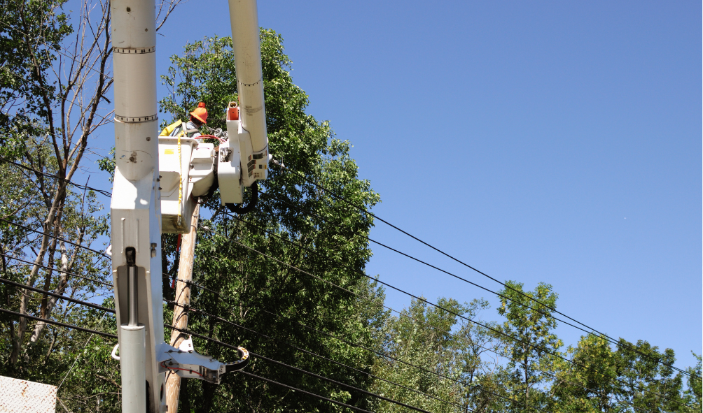 Tree Service Powder Springs GA