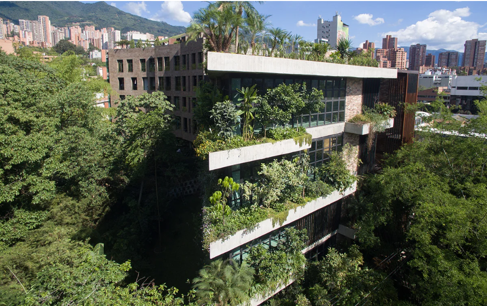 diseño biofílico Edificio Matorral, Medellin