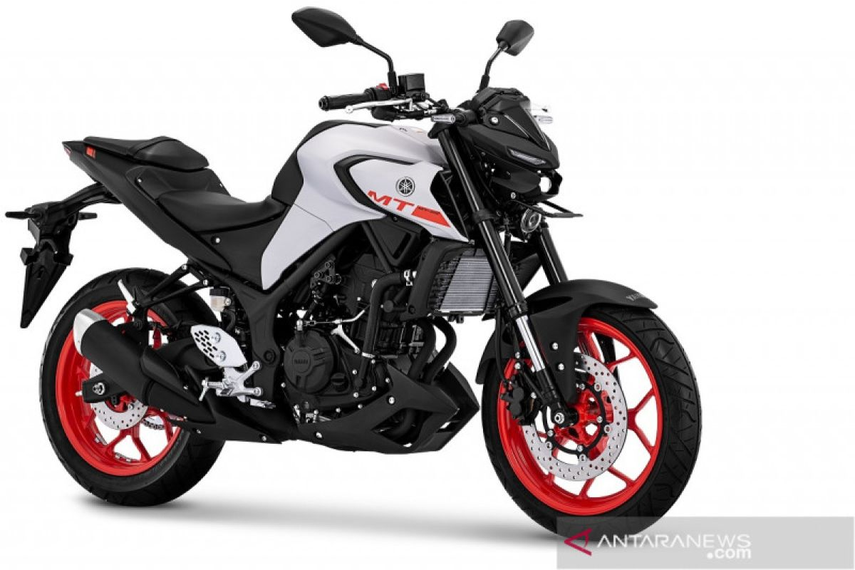 Yamaha MT-25