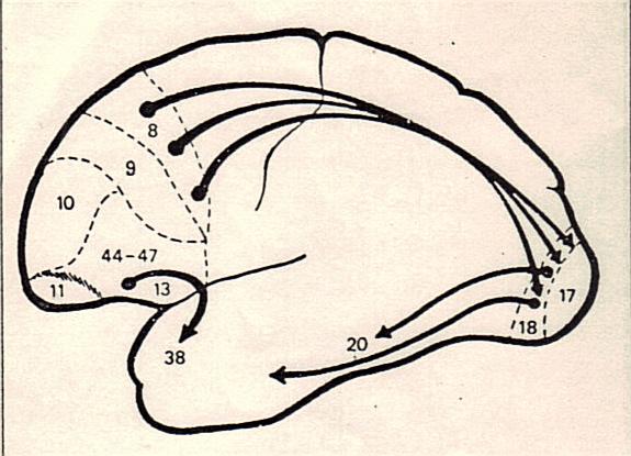 10-05-2014 07;27;53.jpg