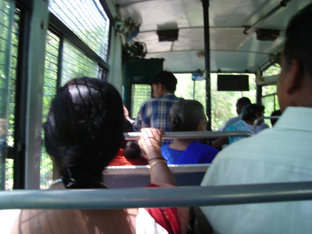 Riding A Bus In Sanjay Gandhi Np