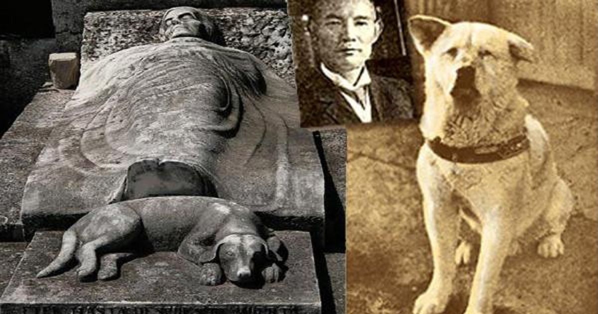 1. ฮาจิ ตำนานสุนัขผู้ซื่อสัตย์และรักที่ไม่เคยเปลี่ยนแปลงตามกาลเวลา