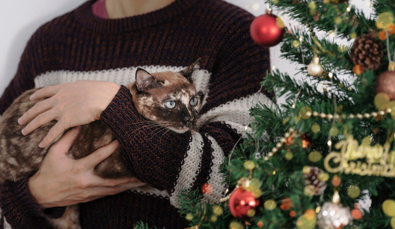 pet owner celebrating holidays with pets while showing cat a christmas tree