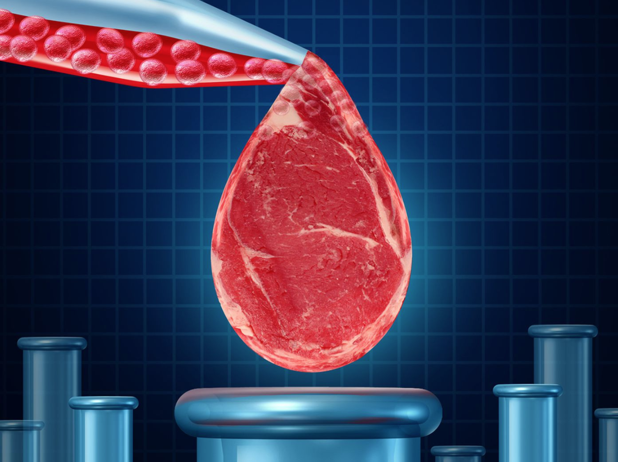 A meat being poured into a drop

Description automatically generated
