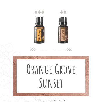 A diffuser blend using 3 drops of Wild Orange and 2 drops of Cedarwood.