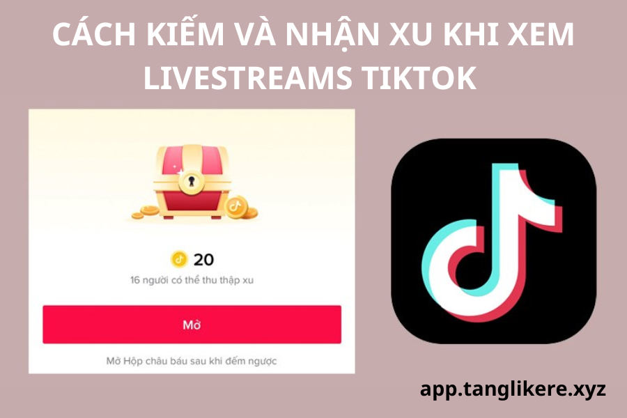 Livestream TikTok