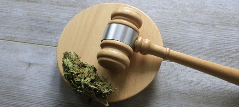 Legalidade clube cannabis