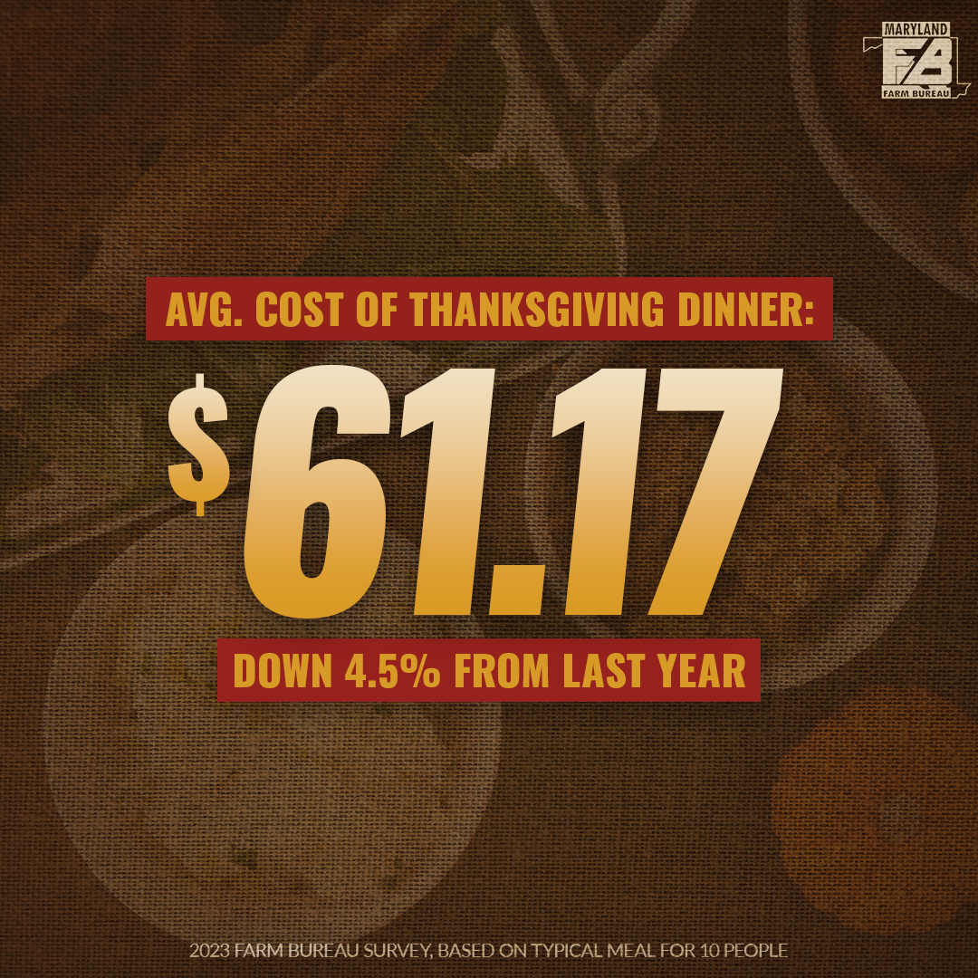 Thanksgiving dinner 2022: Breaking down the cost of some of the