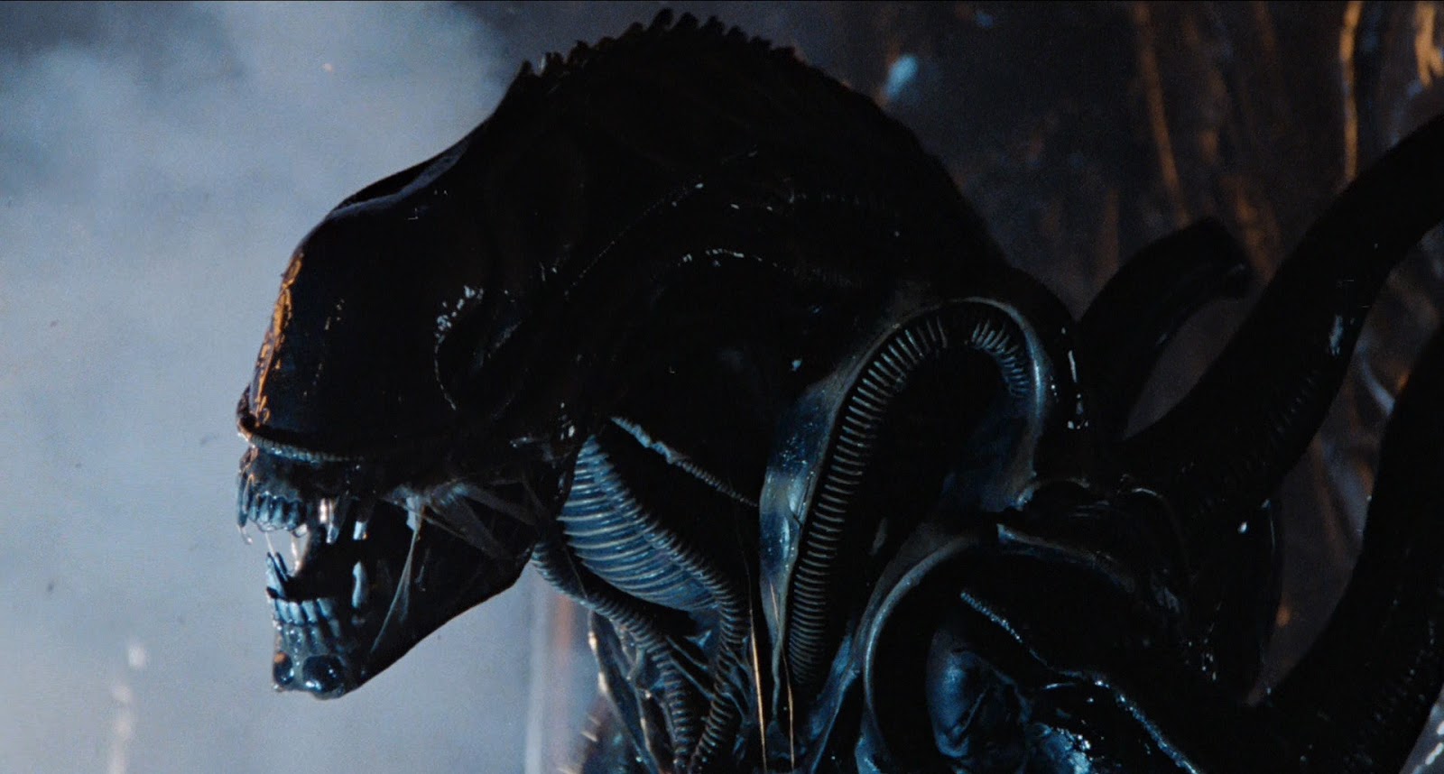 Alien (1979)