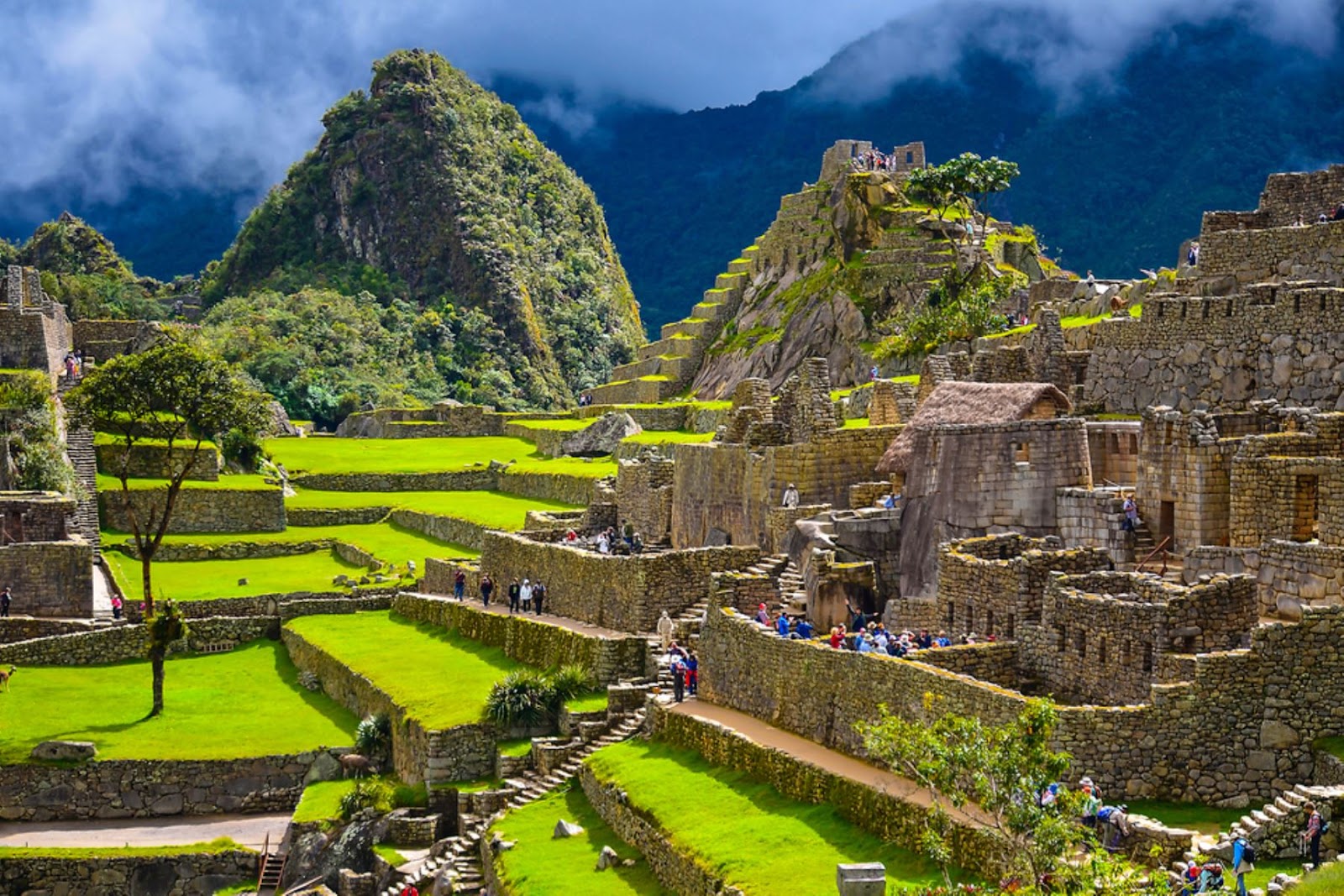 Gremios de turismo expresaron su respaldo a la decisión del Ministerio de Cultura de vender los boletos de entrada a Machu Picchu a través de una nueva plataforma digital. Foto: ANDINA/Mincetur