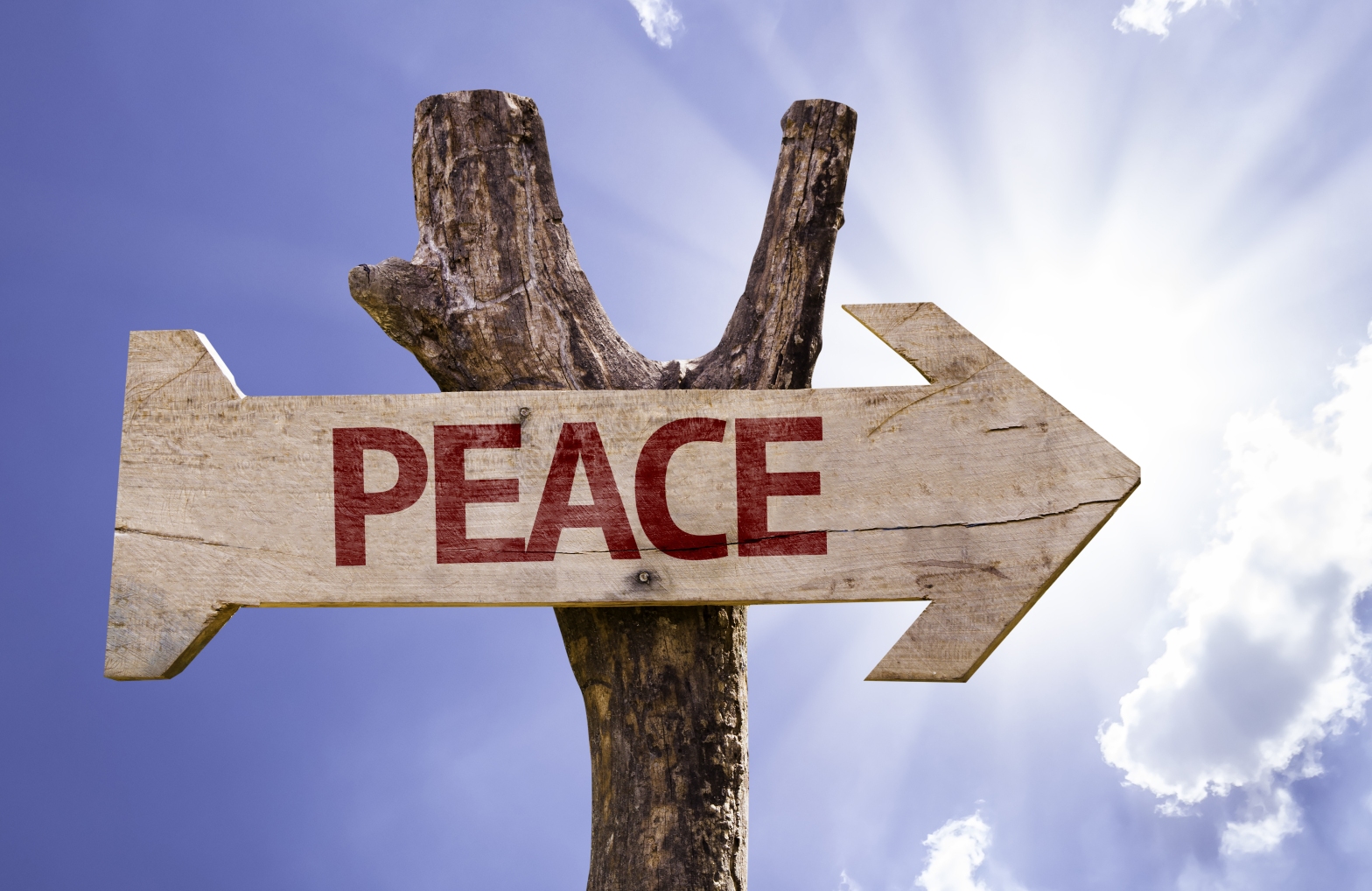 Discover Inner Peace Mental Wellness