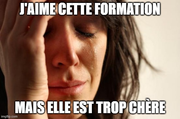 meme formation google ads
