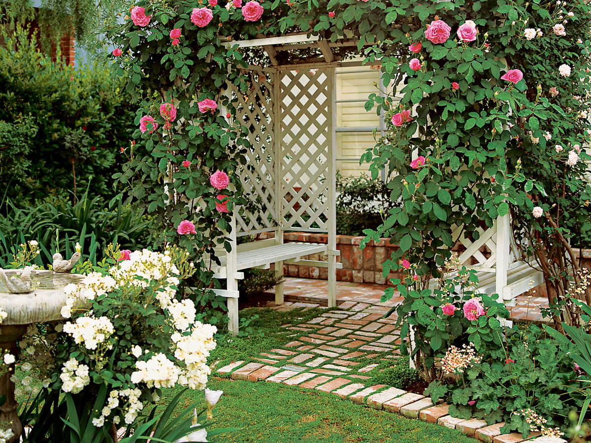 Privacy Screen