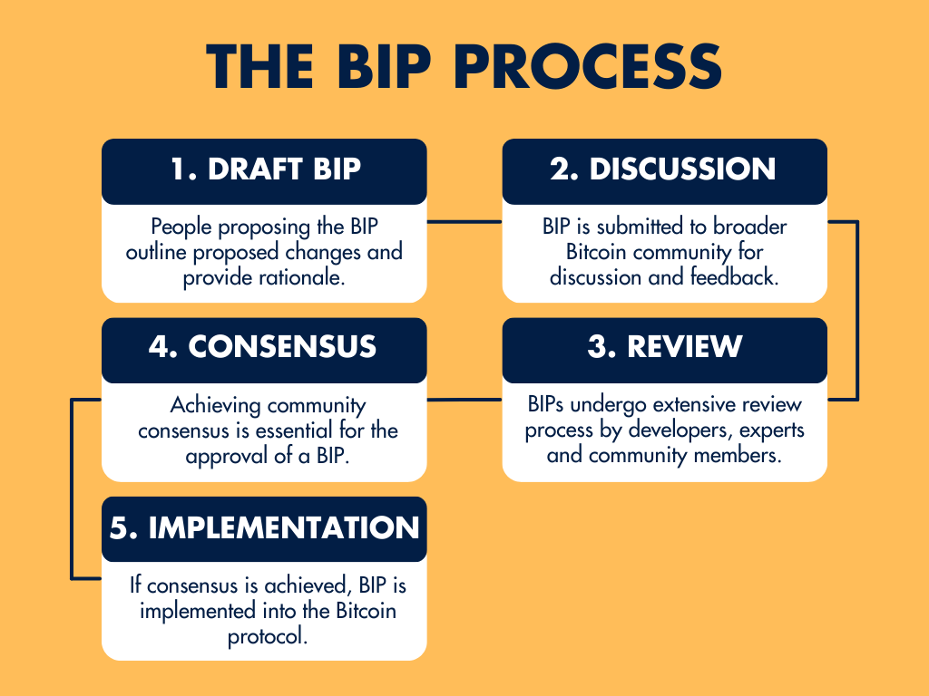 The BIP process in a diagram