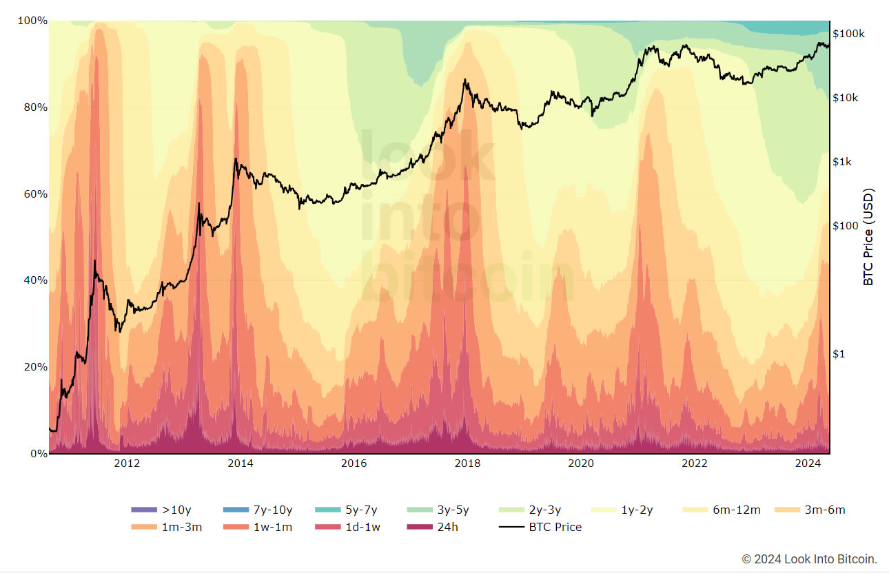 Bitcoin HODL