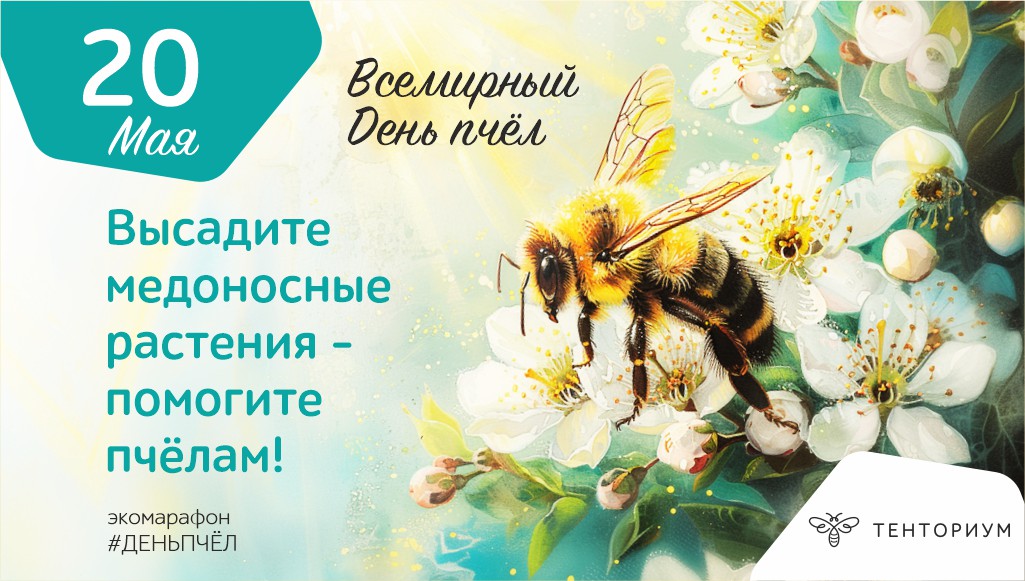 Польза для пчелы – польза для планеты!